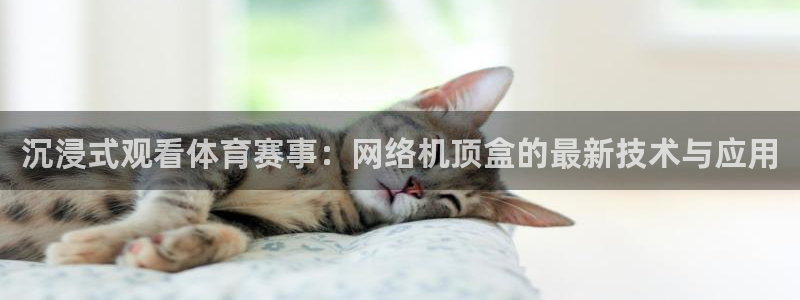 88看球app