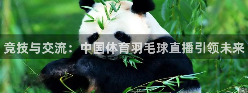 88看球地址