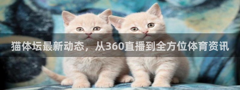 88看球免费直播高清观看