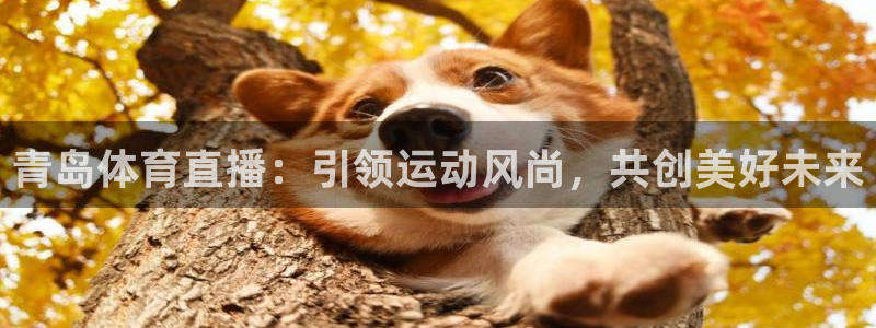 88看球地址