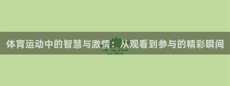 88看球直播入口