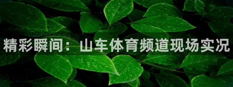 88看球nba直播官网