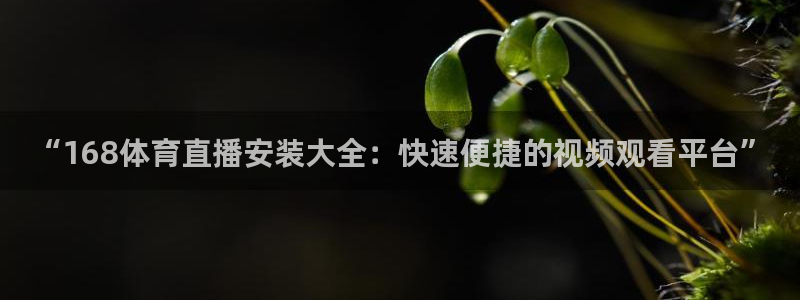 88看球nba直播