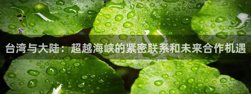 88看球官网入
