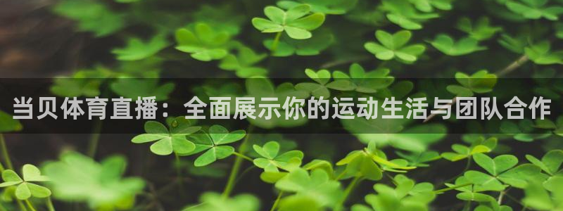 88看球最新版下载地址